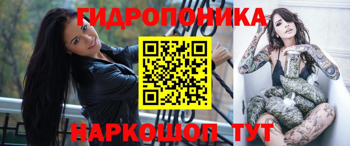Каннабис сатива  Канабис Amnesia  Обь  Бошки марихуана гибрид  Вход с VPN 