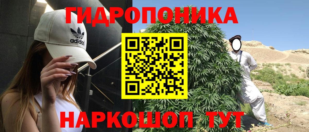 Бошки марихуана планчик Обь